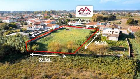 Terreno  Venda em Febres,Cantanhede