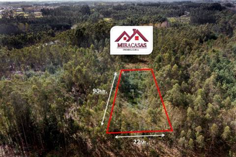 Terreno Rústico  Venda em Covões e Camarneira,Cantanhede