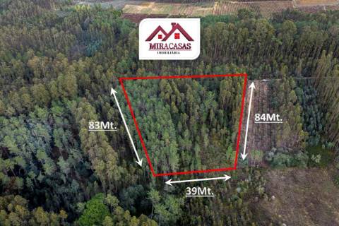 Terreno Rústico  Venda em Cantanhede e Pocariça,Cantanhede