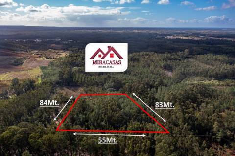 Terreno Rústico  Venda em Cantanhede e Pocariça,Cantanhede