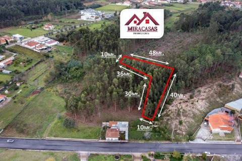 Terreno Rústico  Venda em Covões e Camarneira,Cantanhede