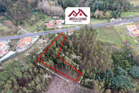 Terreno Rústico  Venda em Covões e Camarneira,Cantanhede