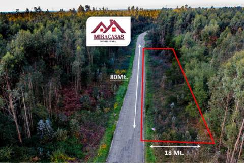 Terreno Rústico  Venda em Mira,Mira