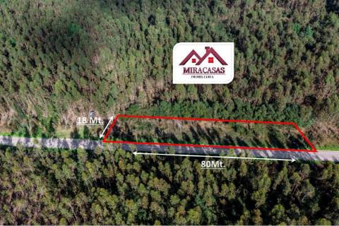 Terreno Rústico  Venda em Mira,Mira