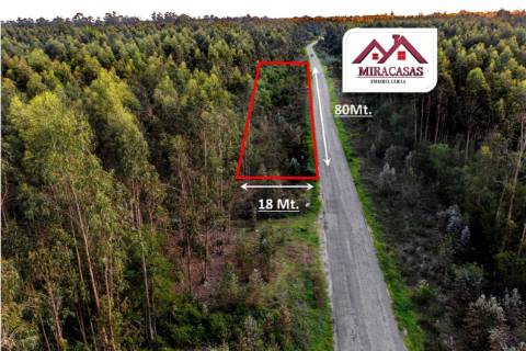 Terreno Rústico  Venda em Mira,Mira