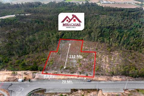 Terreno Rústico  Venda em Mira,Mira