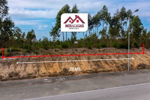 Terreno Rústico  Venda em Mira,Mira