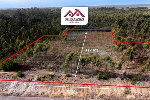 Terreno Rústico  Venda em Mira,Mira