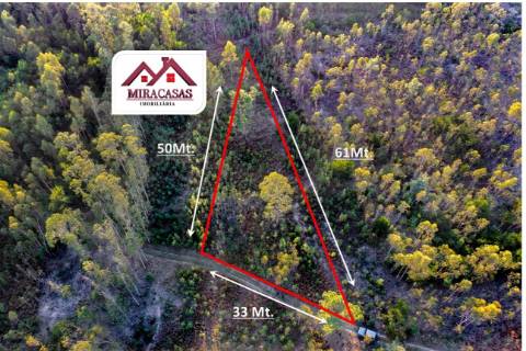 Terreno Rústico  Venda em Mira,Mira