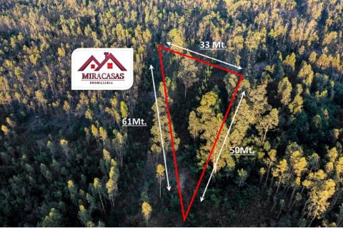 Terreno Rústico  Venda em Mira,Mira