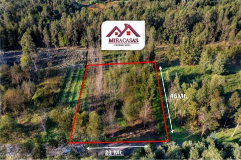 Terreno Rústico  Venda em Mira,Mira