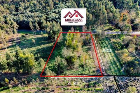 Terreno Rústico  Venda em Mira,Mira