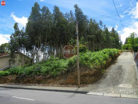 Terreno c/ 1.500m2 em Crestuma