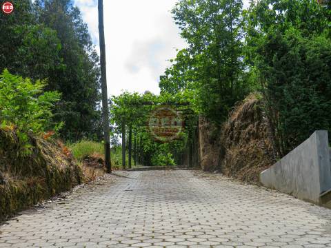 Terreno c/ 1.500m2 em Crestuma