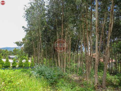 Terreno c/ 1.500m2 em Crestuma