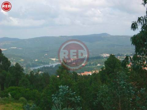 Terreno c/ 1.500m2 em Crestuma