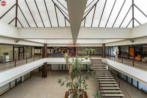 Restaurante/Pizzaria há mais de 25 anos no centro de Gaia