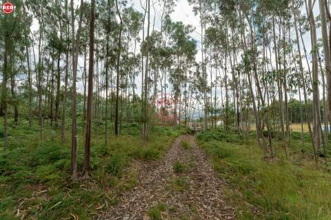 Terreno rústico com 8.000m2 em Lever