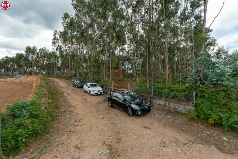 Terreno rústico com 8.000m2 em Lever