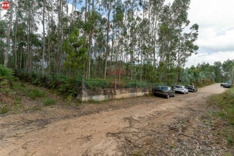 Terreno rústico com 8.000m2 em Lever