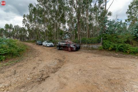 Terreno-Quinta com 8.000m2 em Lever