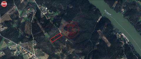 Terreno-Quinta com 8.000m2 em Lever