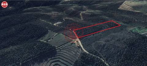 Terreno-Quinta com 8.000m2 em Lever