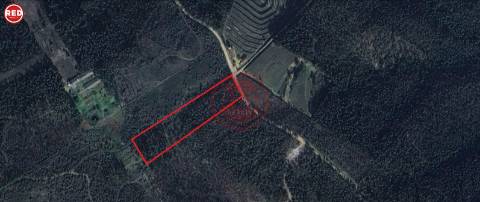 Terreno-Quinta com 8.000m2 em Lever