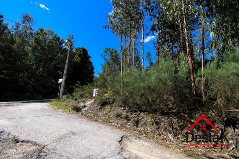 Terreno rústico, Aldeia, São Pedro do Sul
