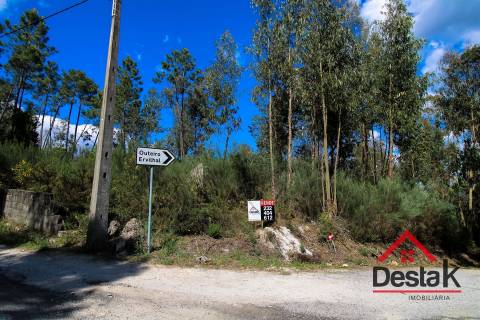 Terreno rústico, Aldeia, São Pedro do Sul