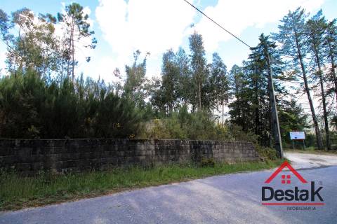 Terreno rústico, Aldeia, São Pedro do Sul