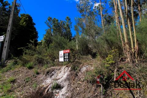 Terreno rústico, Aldeia, São Pedro do Sul