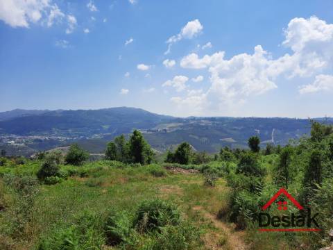 Terreno com aproximadamente 1 hectare, localizado em Serrazes.