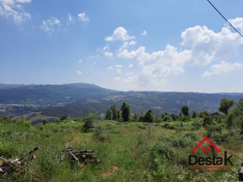 Terreno com aproximadamente 1 hectare, localizado em Serrazes.