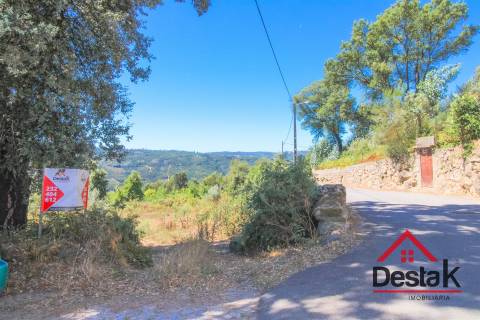 Terreno com aproximadamente 1 hectare, localizado em Serrazes.