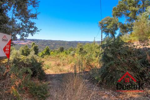 Terreno com aproximadamente 1 hectare, localizado em Serrazes.