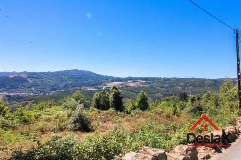 Terreno com aproximadamente 1 hectare, localizado em Serrazes.