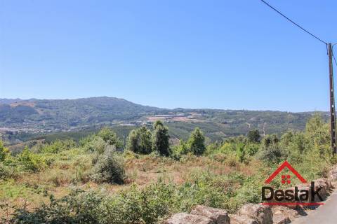 Terreno com aproximadamente 1 hectare, localizado em Serrazes.