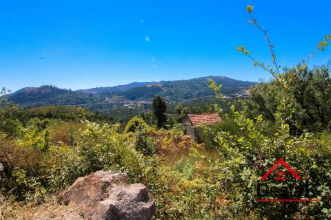 Terreno com aproximadamente 1 hectare, localizado em Serrazes.