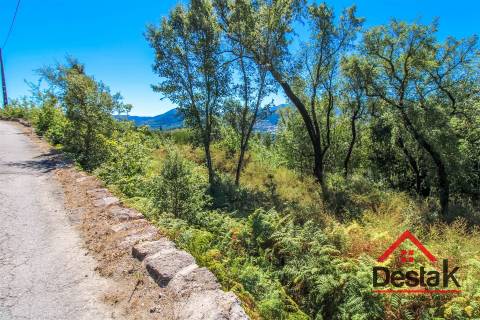 Terreno com aproximadamente 1 hectare, localizado em Serrazes.