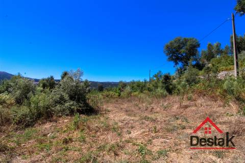Terreno com aproximadamente 1 hectare, localizado em Serrazes.