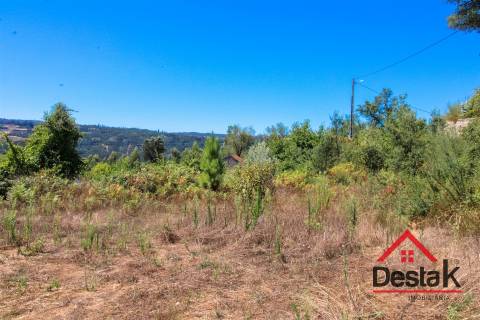 Terreno com aproximadamente 1 hectare, localizado em Serrazes.