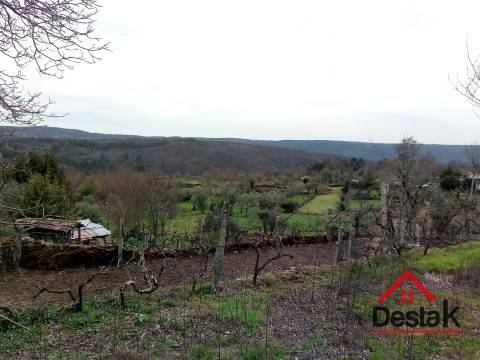 Quintinha com moradia em pedra para restaurar em Castro Daire