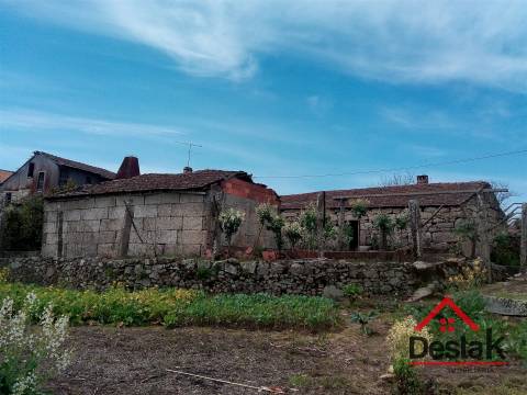 Quintinha com moradia em pedra para restaurar em Castro Daire