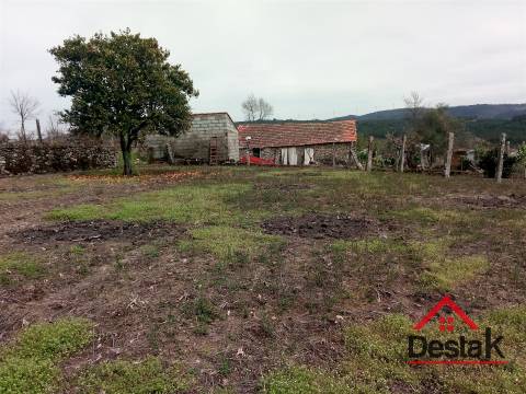 Quintinha com moradia em pedra para restaurar em Castro Daire