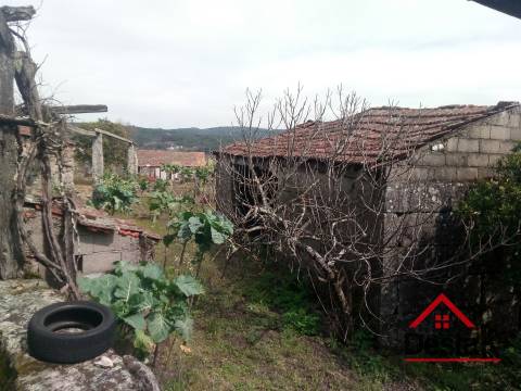 Quintinha com moradia em pedra para restaurar em Castro Daire
