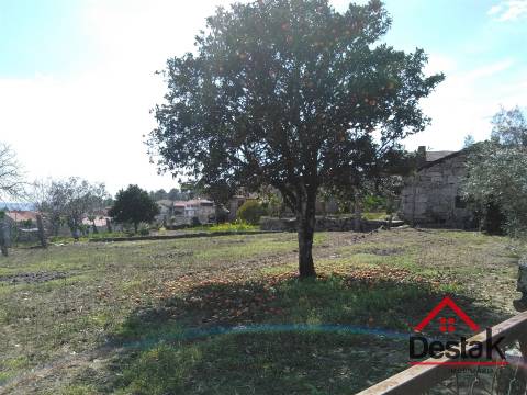 Quintinha com moradia em pedra para restaurar em Castro Daire