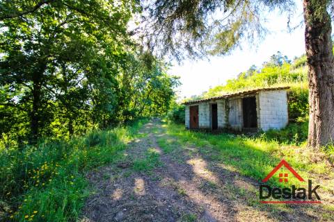 Terreno agrícola próximo à cidade de São Pedro do Sul
