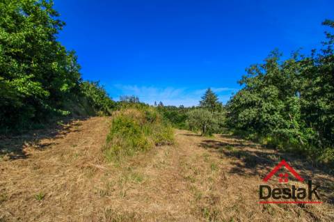 Terreno agrícola próximo à cidade de São Pedro do Sul
