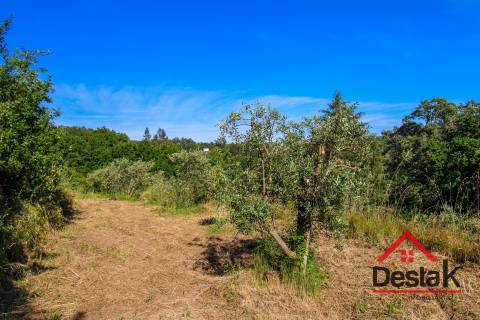 Terreno agrícola próximo à cidade de São Pedro do Sul